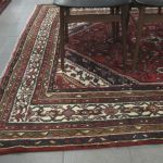 558 7701 ORIENTAL CARPET